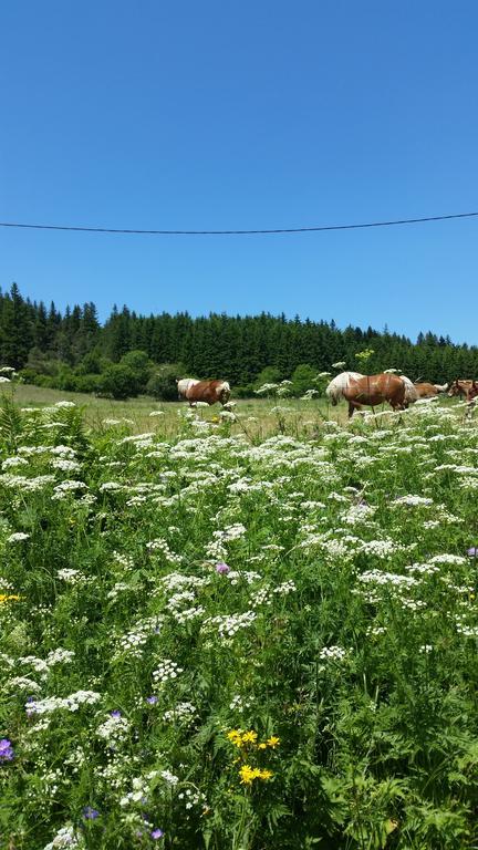 Vvf Haute Loire 3* Saint-Julien-Chapteuil